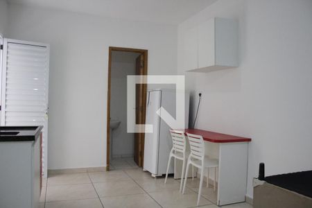 Studio de kitnet/studio para alugar com 1 quarto, 20m² em Belenzinho, São Paulo