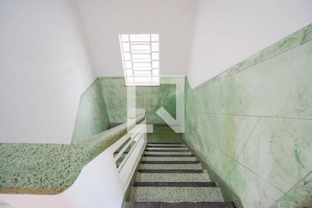 Casa para alugar com 210m², 8 quartos e 3 vagasEscada