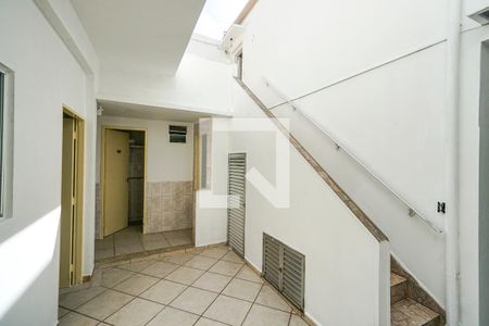Casa para alugar com 210m², 8 quartos e 3 vagasQuintal