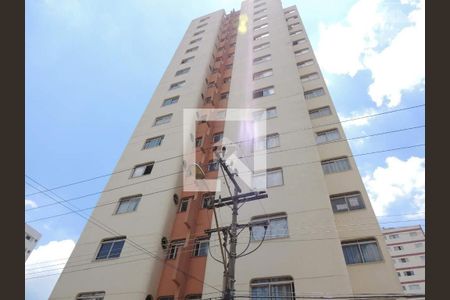 Apartamento para alugar com 1 quarto, 45m² em Vila Itapura, Campinas