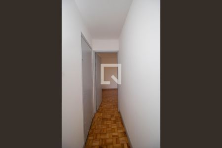 Corredor de apartamento para alugar com 3 quartos, 65m² em Vila Albertina, São Paulo
