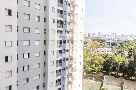 Apartamento para alugar com 72m², 2 quartos e 2 vagas Apartamento para alugar com 72m², 2 quartos e 2 vagasVista da Varanda