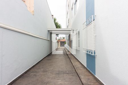 Apartamento para alugar com 72m², 3 quartos e 1 vaga Apartamento para alugar com 72m², 3 quartos e 1 vagaÁrea Externa