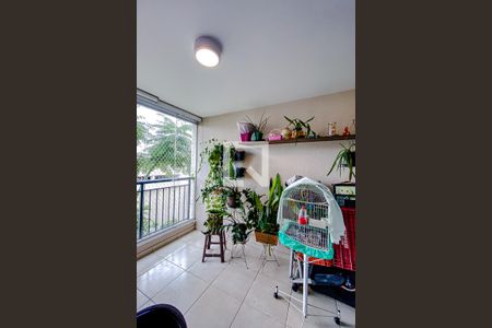 Varanda da Sala de apartamento para alugar com 2 quartos, 65m² em Catumbi, São Paulo