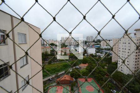 Vista da Sala de apartamento para alugar com 3 quartos, 74m² em Jardim Marajoara, São Paulo