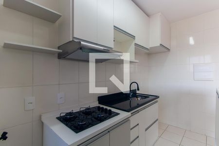 Cozinha de apartamento para alugar com 2 quartos, 50m² em Vila Metalúrgica, São Paulo