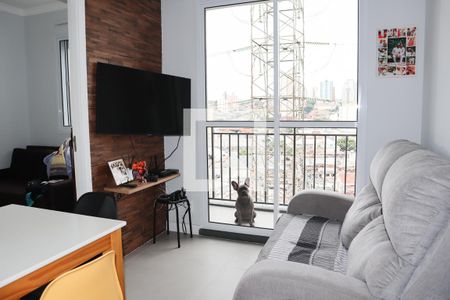 Sala de apartamento para alugar com 2 quartos, 37m² em Vila Guilherme, São Paulo