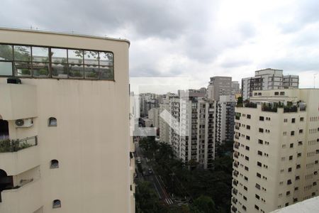 Apartamento à venda com 394m², 4 quartos e 2 vagasVista da Cobertura