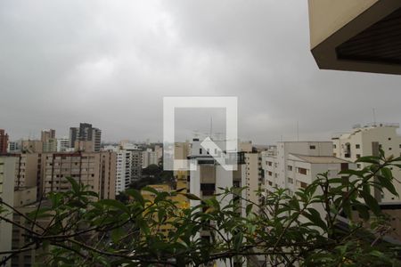 Apartamento para alugar com 400m², 5 quartos e 3 vagasVista do Quarto 2