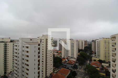 Apartamento para alugar com 400m², 5 quartos e 3 vagasVista da Varanda Quarto 3