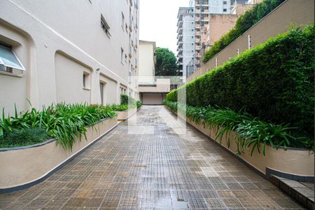 Apartamento à venda com 50m², 1 quarto e 1 vagaÁrea comum - Área Verde