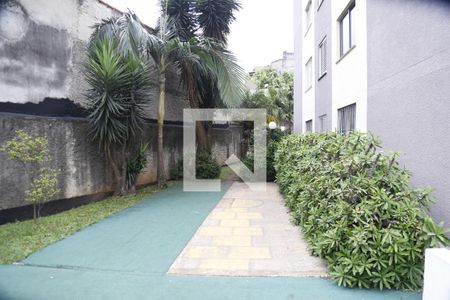Área comum de apartamento para alugar com 2 quartos, 110m² em Vila Portugal, São Paulo