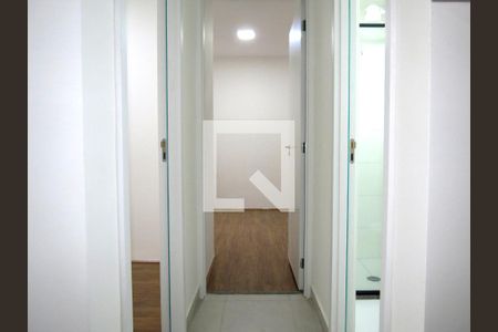Sala/Cozinha - Corredor Entrada Quartos e Banheiro de apartamento para alugar com 2 quartos, 33m² em Piqueri, São Paulo