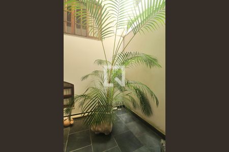 Sala - Jardim de casa à venda com 3 quartos, 270m² em Utinga, Santo André