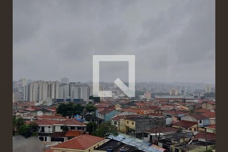 Vista - Quarto 1 de apartamento para alugar com 3 quartos, 69m² em Vila São Paulo, São Paulo
