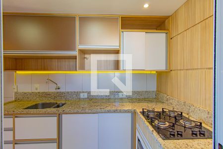 Apartamento para alugar com 48m², 2 quartos e 1 vagaCozinha - Armários