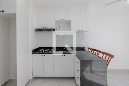 Cozinha de apartamento para alugar com 1 quarto, 25m² em Santo Amaro, São Paulo