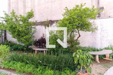 Apartamento à venda com 33m², 1 quarto e sem vagaÁrea comum - Espaço Pet