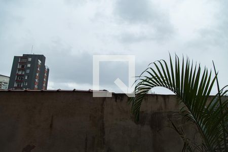 Vista da Sala de apartamento para alugar com 3 quartos, 84m² em Vila Alexandria, São Paulo