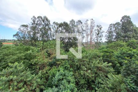 Vista do Quarto  de apartamento à venda com 2 quartos, 47m² em Jardim Samambaia, Campinas