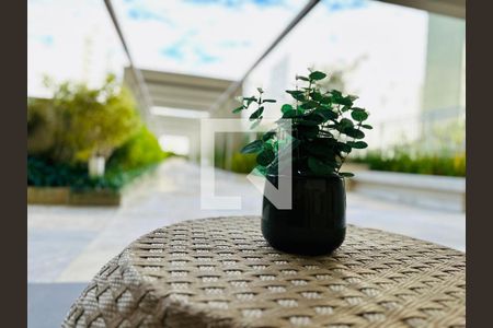 Área comum de kitnet/studio para alugar com 1 quarto, 44m² em Vila Itapura, Campinas