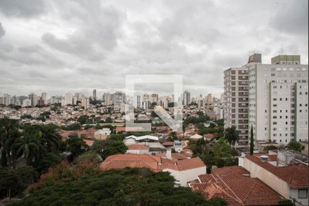 Vista do Quarto 1 de apartamento para alugar com 3 quartos, 115m² em Planalto Paulista, São Paulo