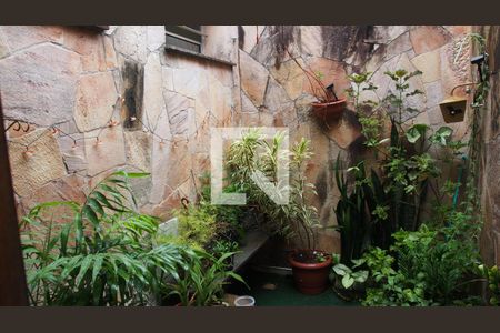 Jardim de inverno de casa para alugar com 4 quartos, 300m² em Vila Joana, Jundiaí