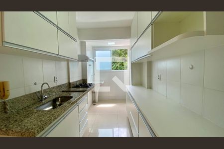 Cozinha de apartamento para alugar com 2 quartos, 69m² em Buritis, Belo Horizonte