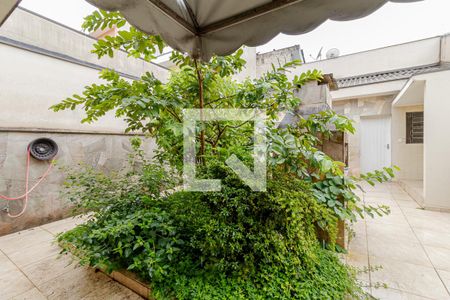 Apartamento à venda com 206m², 3 quartos e 2 vagasQuintal - Jardim