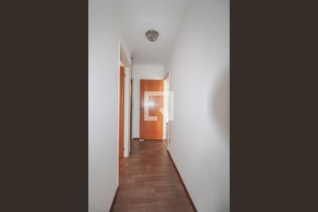 Corredor de apartamento para alugar com 3 quartos, 90m² em Vila Itapura, Campinas