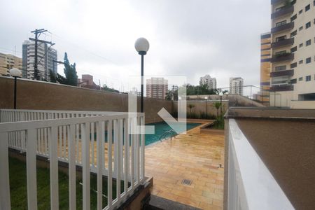 Área comum - Piscina de apartamento para alugar com 2 quartos, 52m² em Jardim Avelino, São Paulo