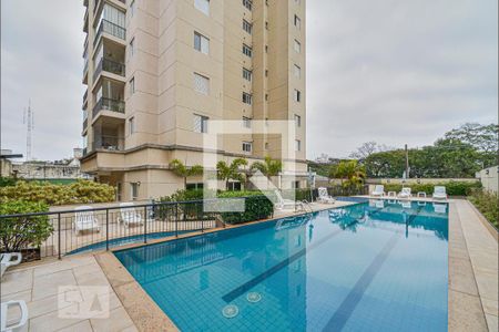 Área comum - Piscina de apartamento para alugar com 2 quartos, 70m² em Cambuci, São Paulo