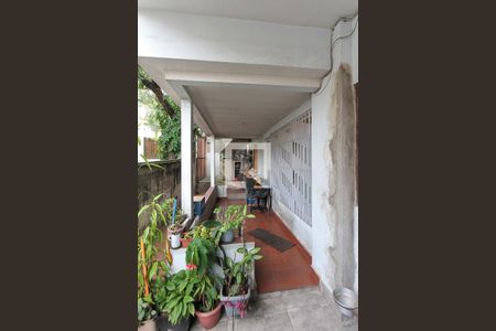 Casa à venda com 300m², 8 quartos e 4 vagasQuintal casa 02