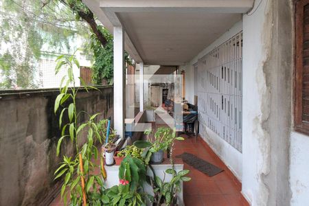 Casa à venda com 300m², 8 quartos e 4 vagasQuintal casa 02