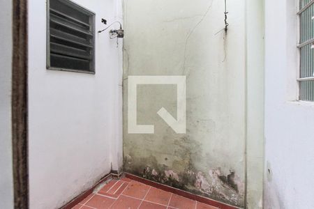 Casa à venda com 300m², 8 quartos e 4 vagasQuintal da casa 02