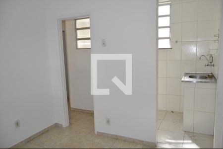 Sala de apartamento para alugar com 1 quarto, 40m² em Engenho Novo, Rio de Janeiro