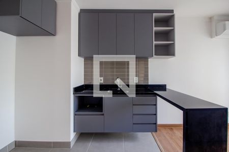 Apartamento para alugar com 28m², 1 quarto e sem vagaCozinha