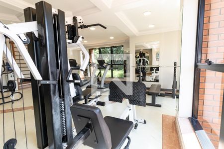 Apartamento à venda com 420m², 3 quartos e 5 vagasÁrea comum - Academia