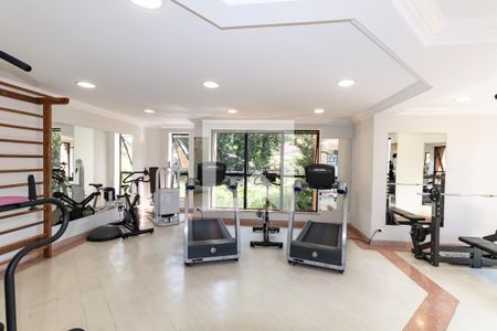 Apartamento à venda com 420m², 3 quartos e 5 vagasÁrea comum - Academia