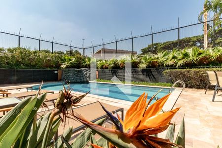 Apartamento à venda com 420m², 3 quartos e 5 vagasÁrea comum - Piscina