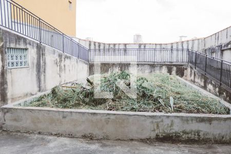 Casa para alugar com 320m², 4 quartos e 8 vagasPiscina