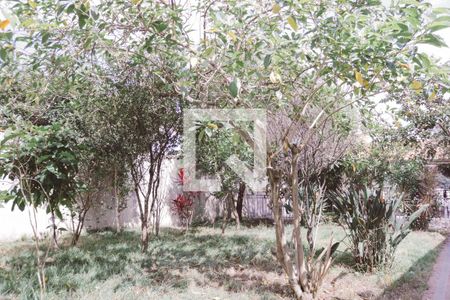 Casa para alugar com 320m², 4 quartos e 8 vagasPomar