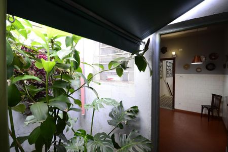 Casa à venda com 260m², 5 quartos e sem vagaJardim