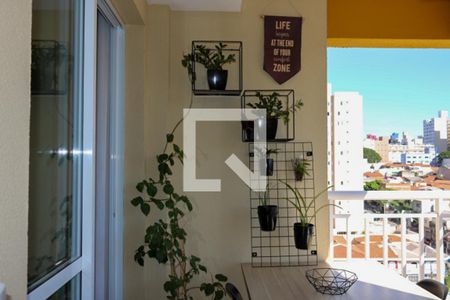 Varanda Gourmet de apartamento para alugar com 2 quartos, 68m² em Osvaldo Cruz, São Caetano do Sul