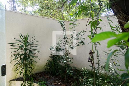 Jardim de Inverno de casa à venda com 3 quartos, 230m² em Planalto Paulista, São Paulo