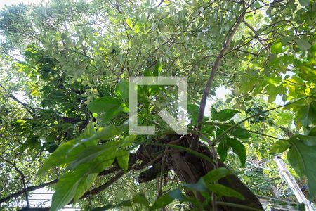 Casa à venda com 230m², 3 quartos e 3 vagas Casa à venda com 230m², 3 quartos e 3 vagasJardim de Inverno