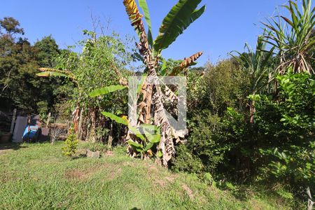 Casa à venda com 2999m², 3 quartos e 10 vagas Casa à venda com 2999m², 3 quartos e 10 vagasQuintal