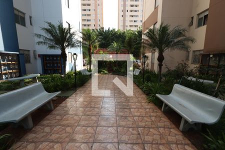 Apartamento à venda com 63m², 3 quartos e 1 vagaÁrea comum - Jardim
