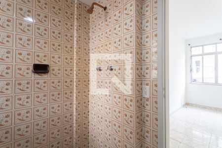 Banheiro da Suíte de apartamento para alugar com 2 quartos, 66m² em Laranjeiras, Rio de Janeiro