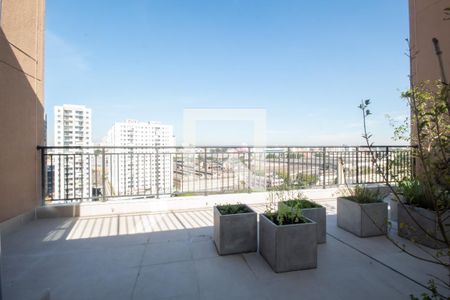 Apartamento para alugar com 24m², 1 quarto e sem vagaTerraço